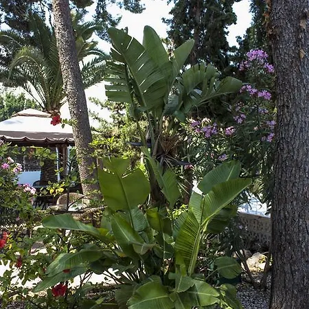 Hotel Boutique Mr Palau Verd - Adults Only Dénia