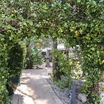 Boutique Mr Palau Verd - Adults Only فندق 3*