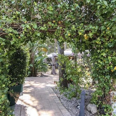 Boutique Mr Palau Verd - Adults Only Готель 3*