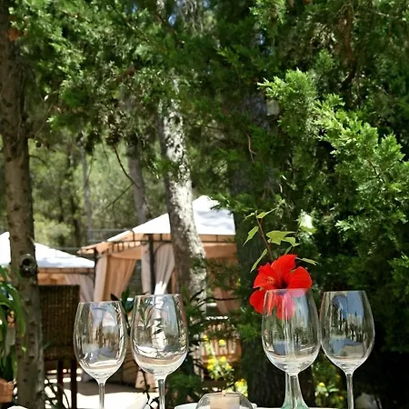 فندق Boutique Mr Palau Verd - Adults Only