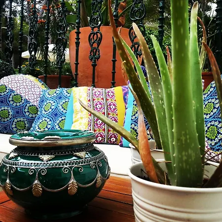 Boutique Mr Palau Verd - Adults Only Hotel Dénia