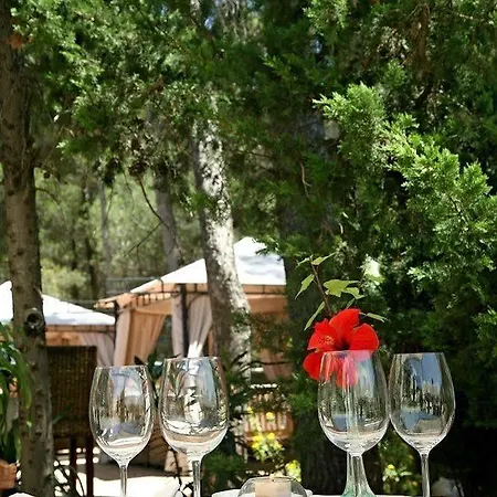 Готель Boutique Mr Palau Verd - Adults Only Денія
