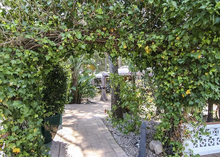 Boutique Mr Palau Verd - Adults Only Hotel 3*