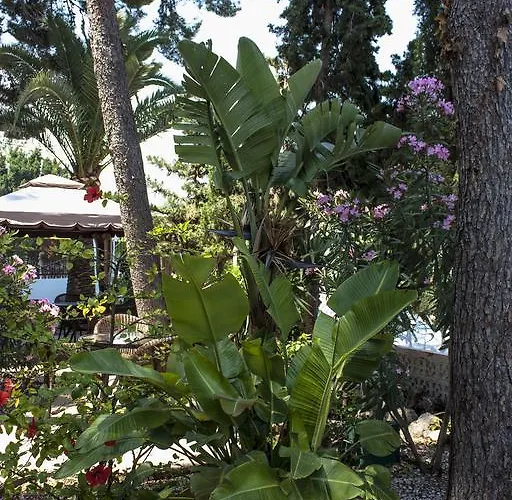 Hotel Boutique Mr Palau Verd - Adults Only Dénia