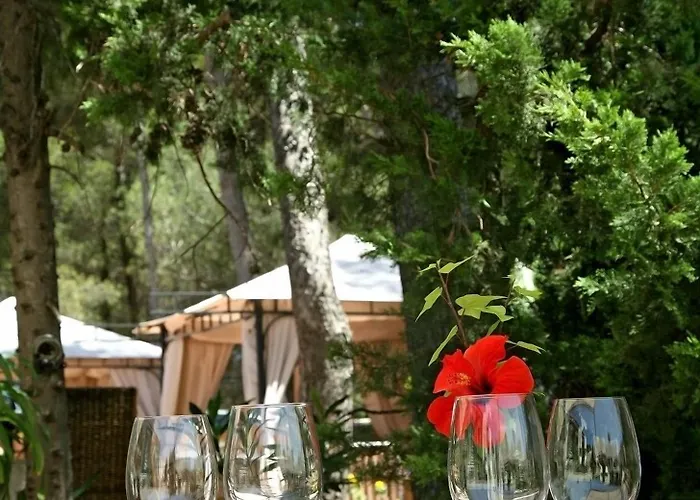 Hotel Boutique Mr Palau Verd - Adults Only